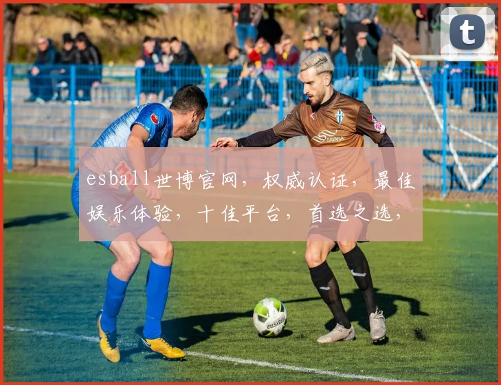esball世博官网，权威认证，最佳娱乐体验，十佳平台，首选之选，娱乐无忧