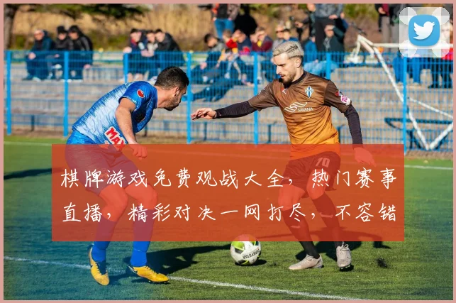 棋牌游戏免费观战大全，热门赛事直播，精彩对决一网打尽，不容错过，三网同步