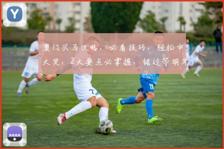 澳门买马攻略，必看技巧，轻松中大奖，2大要点必掌握，错过等明年