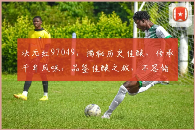 状元红97049，揭秘历史佳酿，传承千年风味，品鉴佳酿之旅，不容错过